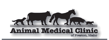 Home | Veterinarian in Preston, ID | Animal Medical Clinic